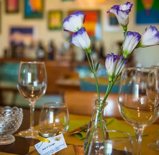 Alojamento de Turismo Rural Quartuccio